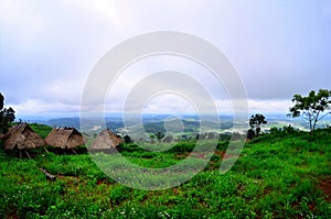 There are Akha homestays located on a hillside covered and foggy background at Doi Sa Ngo ,Chiang Rai , Thailand