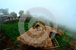 There are Akha homestays located on a hillside covered and foggy background at Doi Sa Ngo ,Chiang Rai , Thailand