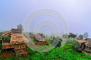 There are Akha homestays located on a hillside covered and foggy background at Doi Sa Ngo ,Chiang Rai , Thailand