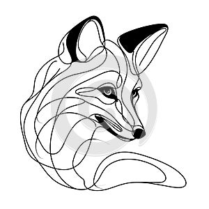 There is a black and white illustration depicting the head of a fox, featuring a lengthy, curved snout and prominent.