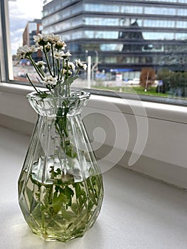 There are bouquets of wild flowers in transparent vases on the windowsill