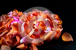 There are different colors orange, pink rose petals on the left side on the black background. Happy a Women`s Day.