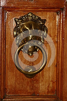 There is a door knock on my house door. This is made of metal and shaped like a lion and pierced a ring in the nose to knock