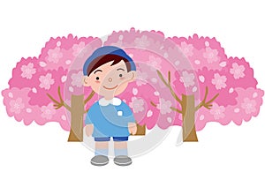A boy kindergartener in front of a cherry tree in full bloom
