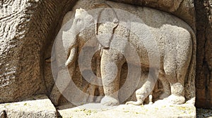 There is an elephant sculpture carved in the rock.