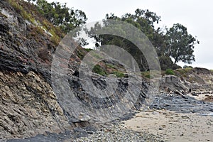 The Carpinteria California Tar Pits, 7.