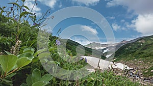 There is lush green vegetation, wildflowers and patches of snow on the hillside.