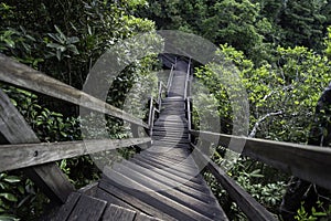 There are many beautiful wooden bridges along the entire Ngong Ping Trail.