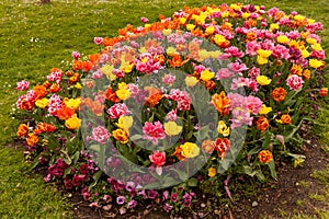 There are many flowers on the Langenargen embankment