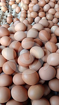 There are so many free-range chicken eggs that are sold, all that remains is to be chosen as a side dish for the community