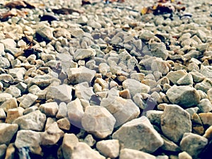 There are many pebbles next to each other.