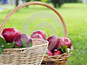 There are many red apples in the basket. Put on the grass