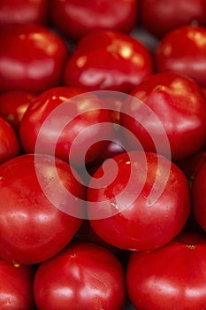 There are many ripe juicy red tomatoes on the market counter. Health and vitamins from nature. Close-up. Vertical