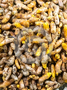 There are many turmeric-colored turmeric available for sale at Pasar Besar Dungun