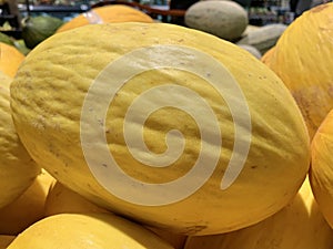 There are many yellow pumpkins on the counter. Autumn theme, pumpkin collection. Big pumpkin, vegetables in the supermarket