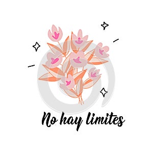 There are no limits - in Spanish. Lettering. Ink illustration. Modern brush calligraphy. No hay limites photo