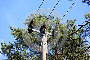 There is a power line running through the forest