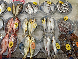There are price-priced fish in the fish market