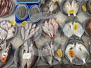 There are price-priced fish in the fish market photo