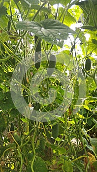 And there rests part of me