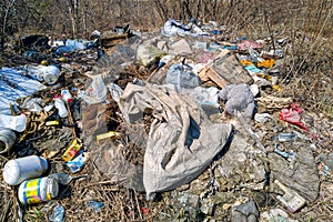 There`s a big pile of dirty trash in the woods.