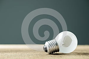 Hole in the bulb, problem or mistaken idea photo