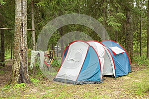 There is a small tourist tent in the forest in a clearing