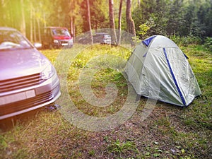 There is a small tourist tent in the forest in a clearing.