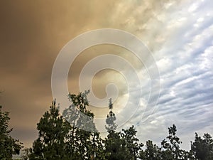 There are strange clouds above the trees