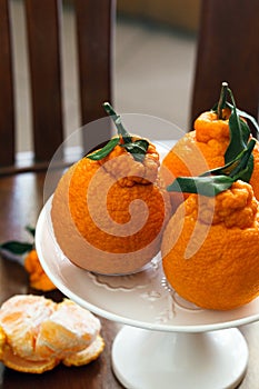 There are three fresh big oranges in the tray