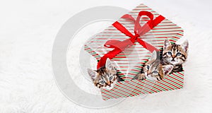 there are three gray striped kittens are sitting in a gift box. Together they are looking into the frame