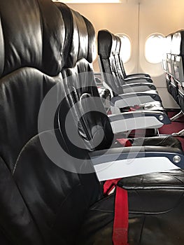 There are tray table and seat belt for passenger in each chair on the plane.