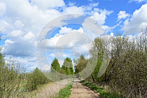 There are trees along the dirt road. Deciduous trees, young foliage and grass. Cloudy sky. Green grass