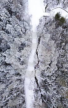 there are two trains passing through a snow covered field together