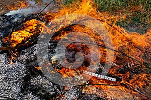 There is visible ash surrounding the base of the fire indicating ongoing combustion