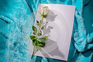There is white rose with green leafs on the light blue background. There is white sheet of paper/greeting card near.