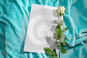 There is white rose with green leafs on the right side of light blue background. There is white sheet of paper/greeting card near.