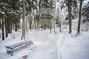 There is a winding path in the park for walking.