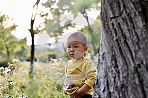 Happy joyful Asia Chinese little boy toddler child enjoy Spring have fun outside embrace nature outdoor carefree childhood