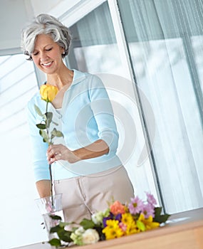 Theres a rose for every occasion. a senior woman enjoying some flower arranging at home.