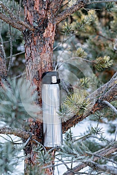 Thermal bottle on a Christmas tree branch. Thermos for drinks