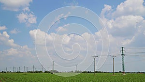 Thermal fluffy clouds over green field timelapse