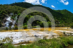 Thermal Geyser at Waimangu Volcanic Valley in Rotorua, North Island, New Zealand