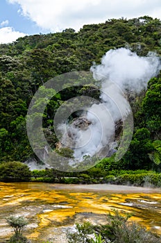 Thermal Geyser at Waimangu Volcanic Valley in Rotorua, North Island, New Zealand