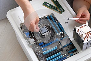 Thermal grease for computer. Male hand applied thermal paste to processor