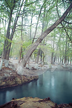 Thermal lagoon under deep sky , Blurred photo of morning fog over a lake in cold autumn weather in half moon san luis potosi