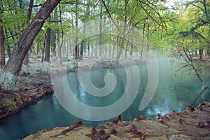 Thermal lagoon under deep sky , Blurred photo of morning fog over a lake in cold autumn weather in half moon san luis potosi