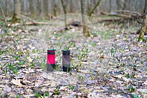 Thermal mugs in the forest on the ground. the conservation of heat of coffee or tea. two mugs of thermos