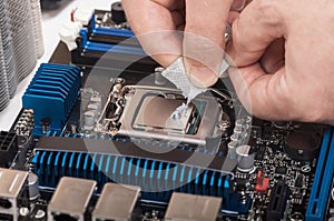 Thermal paste applied on a computer CPU.
