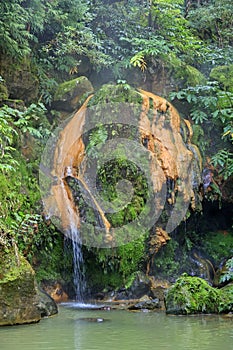 Thermal pool Caldeira Velha, Sao Miguel island